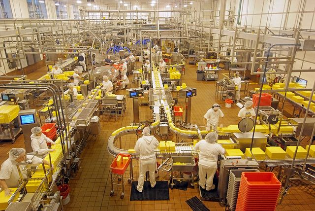 Food Processing & Packaged Food Business